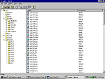 Editor Picture